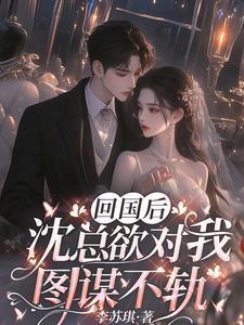 男友回国沈关