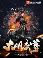 大明武夫在线阅读