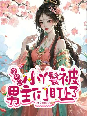 穿书女主的丫鬟