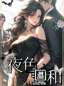 夜色温柔这本书怎么样
