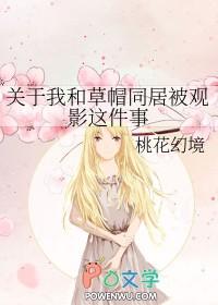 草帽海贼团对cp9