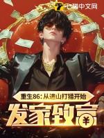 重生从山寨到大款第八区