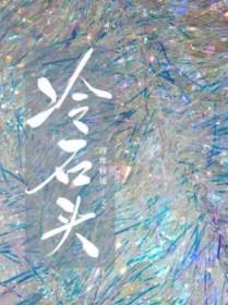 冷石头四维棱镜笔趣阁