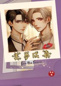 美梦成真1.0免费阅读