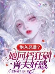 炮灰完结文