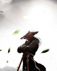 乱世荒年我每日一卦粮肉满仓免费观看