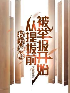 权力巅峰之后是哪部书
