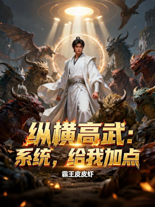 高武之最强加点系统