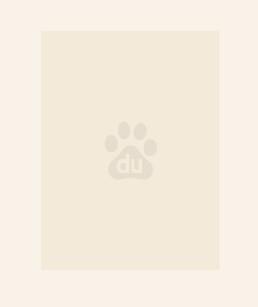 绝世炼丹师图片