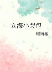 网王立海主攻