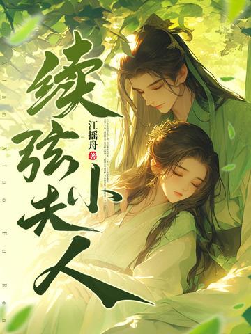 续弦小夫人结局是什么